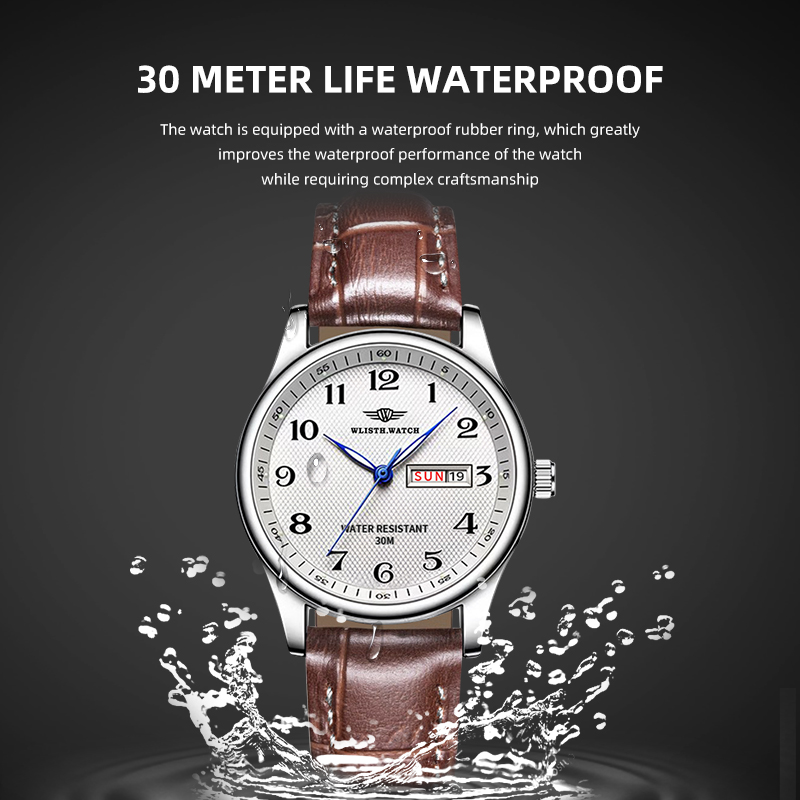 Reloj WLISTH de lujo para homb - Luxury Watch Name reseña y precio